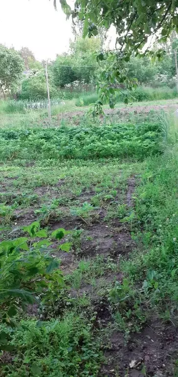 Участок в деревня Мякинино, Пристанционная улица (10.5 м) - Фото 1