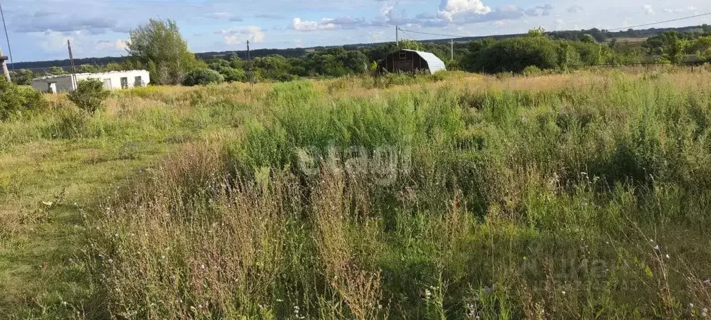 Участок в Ульяновская область, Ульяновский район, с. Тетюшское ... - Фото 1