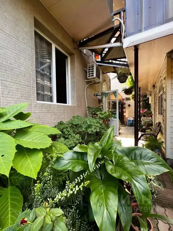 Комната Краснодарский край, Сочи ул. Куйбышева, 43 - Фото 2