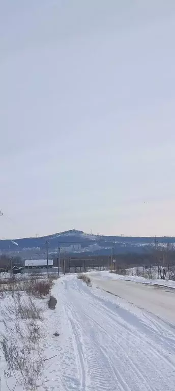 3-к кв. Самарская область, Шигонский район, с. Усолье ул. ... - Фото 1