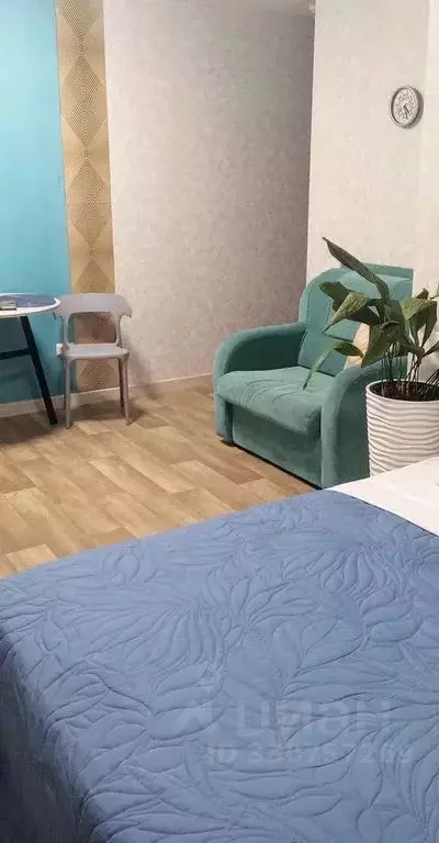 Студия Ярославская область, Ярославль ул. Панина, 3к3 (25.0 м) - Фото 2