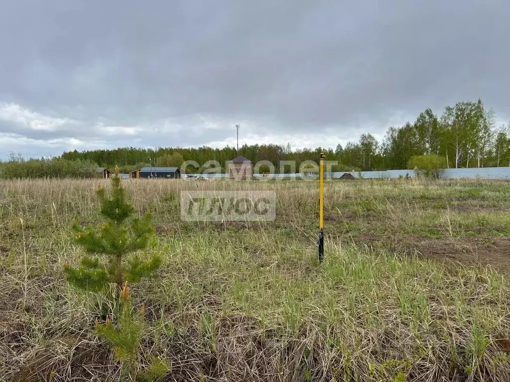 Участок в Тюменская область, Тюменский муниципальный округ, д. ... - Фото 2