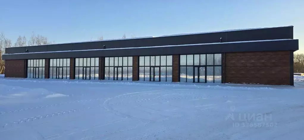 Торговая площадь в Московская область, Воскресенск городской округ, д. ... - Фото 1