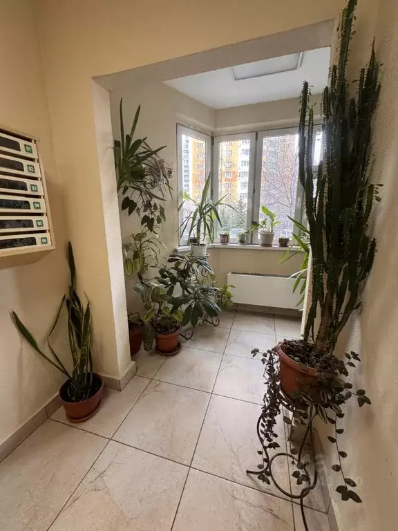 1-к кв. Москва, Москва, Московский г. ул. Радужная, 19к2 (55.0 м) - Фото 2