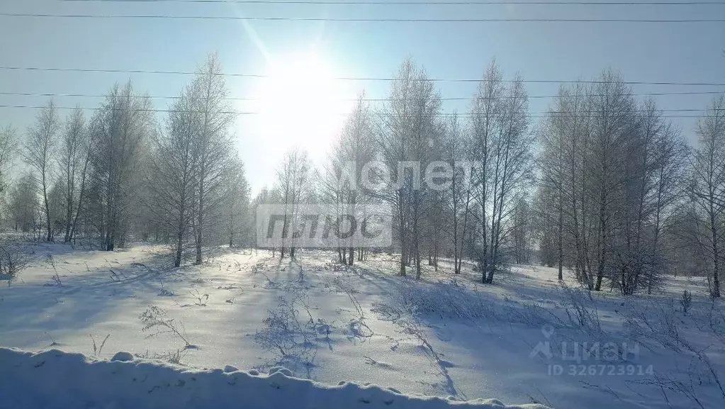 Участок в Пензенская область, Мокшанский район, Рамзайский сельсовет, ... - Фото 2