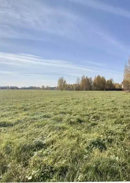 Участок в Тверская область, Конаковский муниципальный округ, д. ... - Фото 0