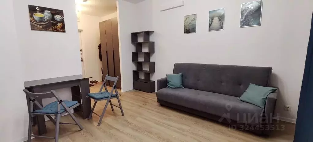 Студия Московская область, Домодедово городской округ, с. Ям ул. ... - Фото 1