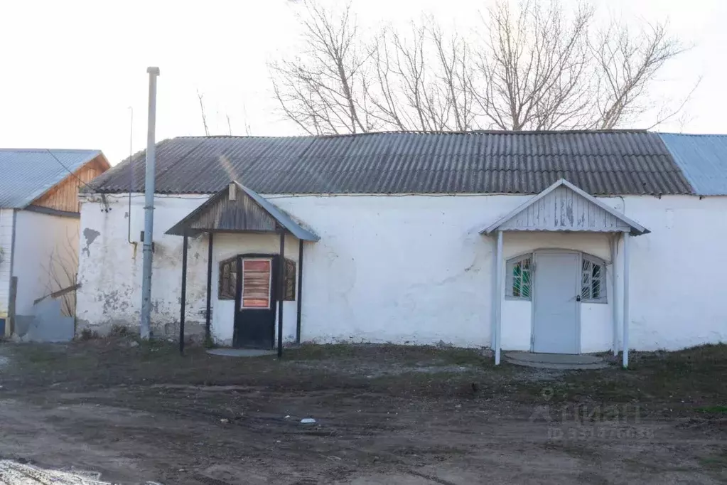 Помещение свободного назначения в Оренбургская область, Саракташский ... - Фото 1