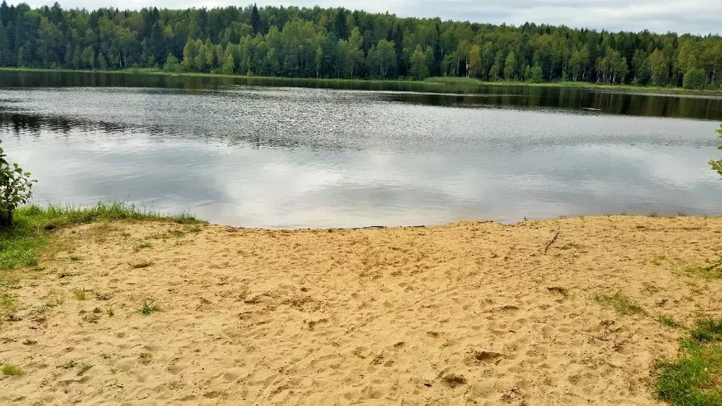 Участок в Владимирская область, Киржачский район, Кипревское ... - Фото 0