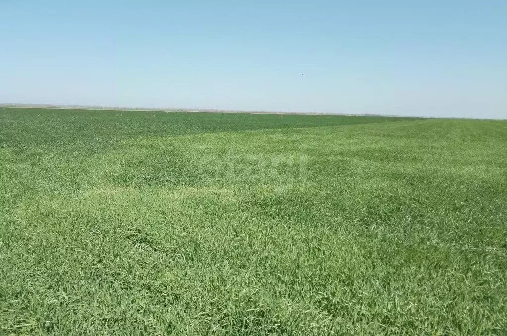 Участок в Крым, Советский район, Ильичевское с/пос, с. Надежда ул. ... - Фото 1