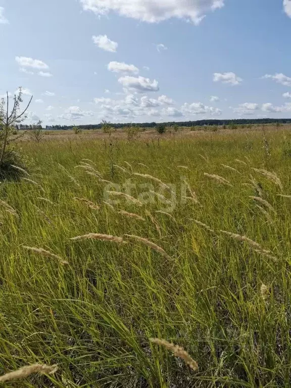 Участок в Ульяновская область, Ульяновск городской округ, с. Луговое ... - Фото 1