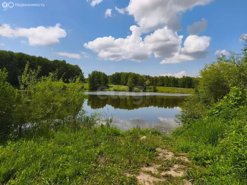 Дом в Искитимский район, Мичуринский сельсовет, СПК Восток-2 (40 м) - Фото 0