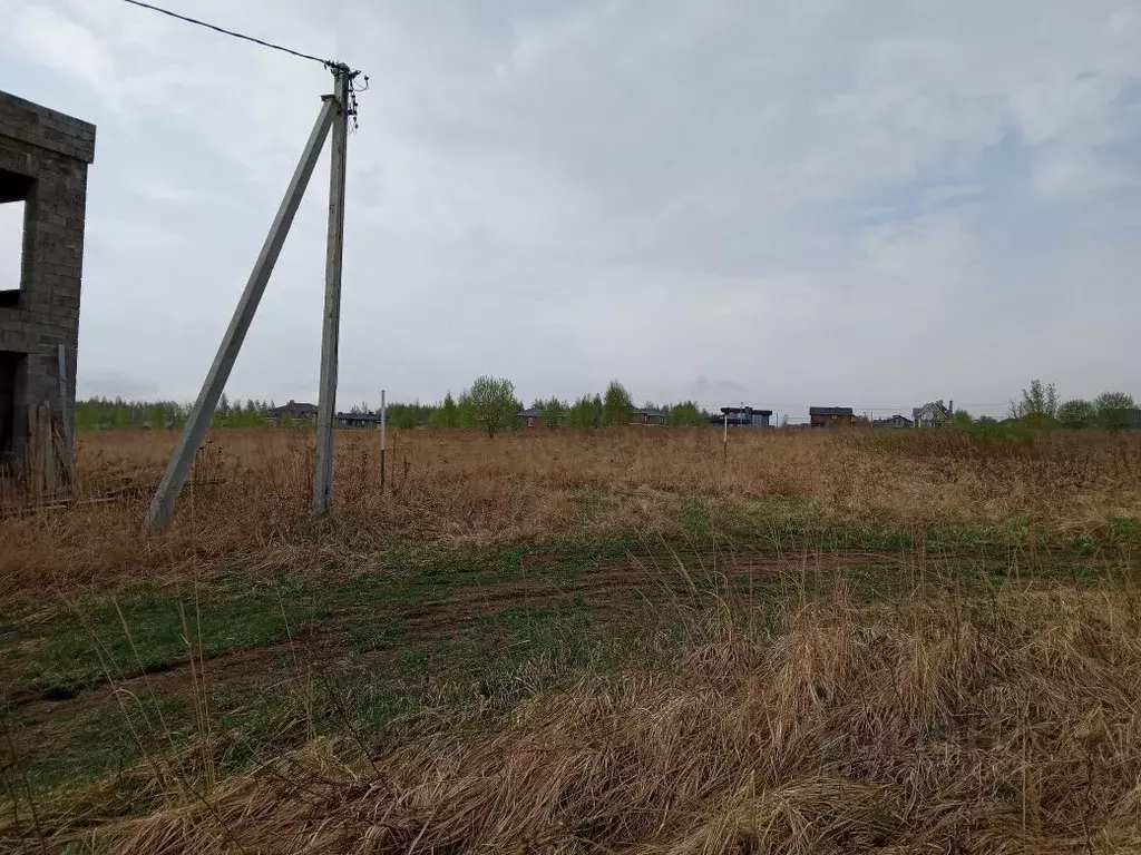 Участок в Нижегородская область, Богородский муниципальный округ, ... - Фото 1
