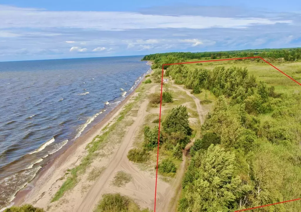 Участок в Псковская область, Гдов городское поселение  (100.0 сот.) - Фото 2