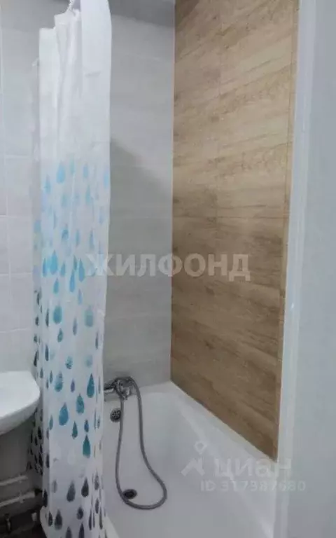 Студия Новосибирская область, Новосибирский район, Станционный ... - Фото 1