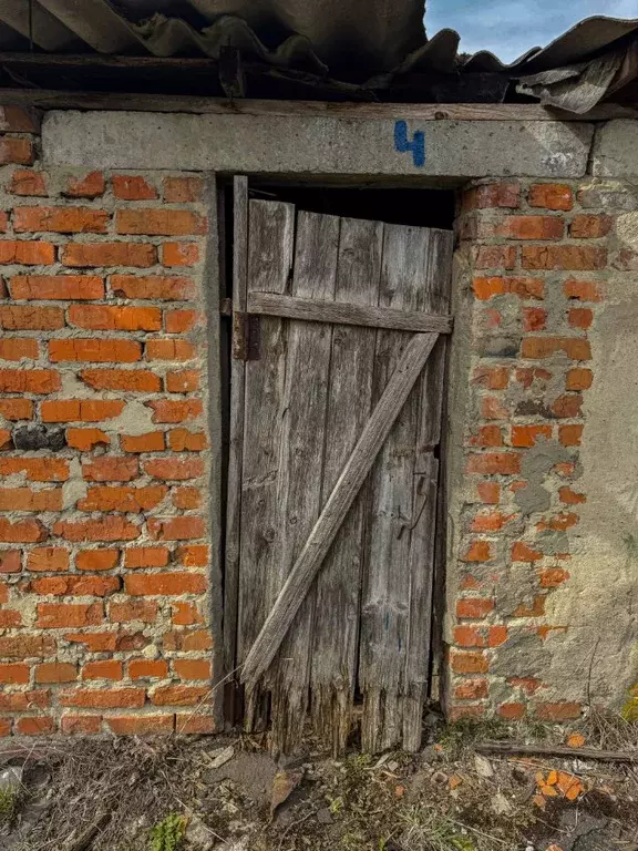 Помещение свободного назначения в Орловская область, Кромы пгт ул. К. ... - Фото 1