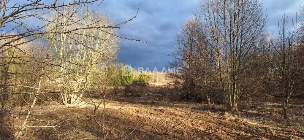 Участок в Калининградская область, Гурьевский муниципальный округ, ... - Фото 1