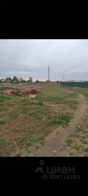 Участок в Волгоградская область, Светлоярский район, с. Райгород ... - Фото 1