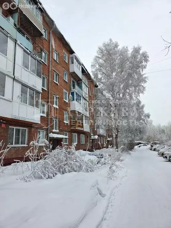 1-комнатная квартира: Кемерово, Инициативная улица, 1Б (31 м) - Фото 1