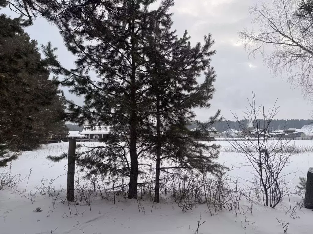 Участок в Иркутская область, Тайшетский район, Старо-Акульшетское ... - Фото 1