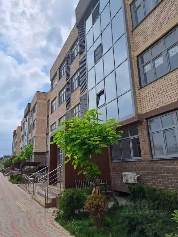 Комната Краснодарский край, Анапа ул. Ленина, 202к2 (12.0 м) - Фото 1
