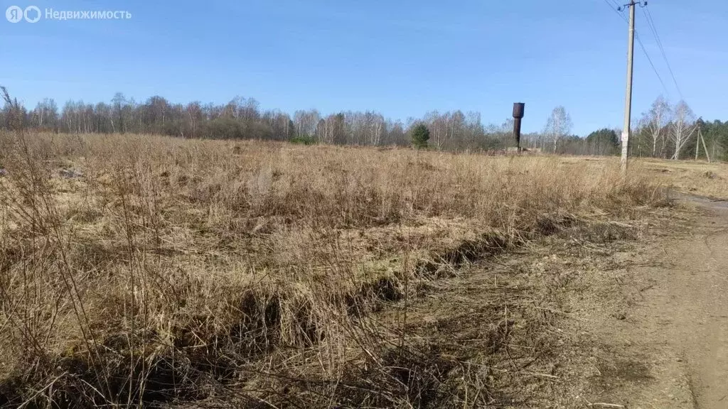 Участок в Томский район, село Кафтанчиково (9.18 м) - Фото 0