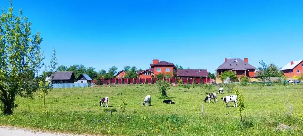 Участок в Московская область, Лосино-Петровский городской округ, д. ... - Фото 1