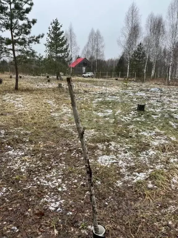 Участок в Смоленская область, Ярцево ул. Яблоневая, 45 (12.0 сот.) - Фото 2