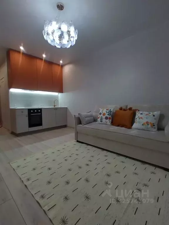 Студия Санкт-Петербург пос. Шушары, просп. Старорусский, 12 (23.0 м) - Фото 1