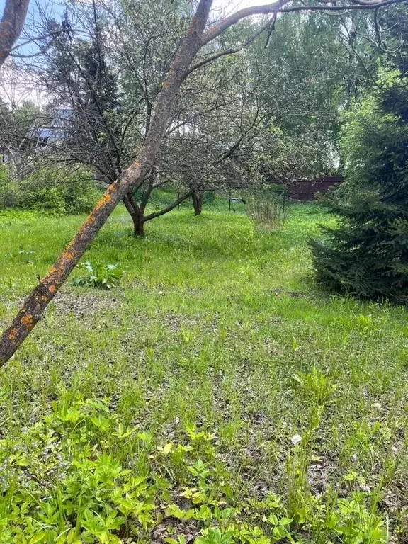 Участок в Московская область, Ступино городской округ, д. Соколова ... - Фото 1