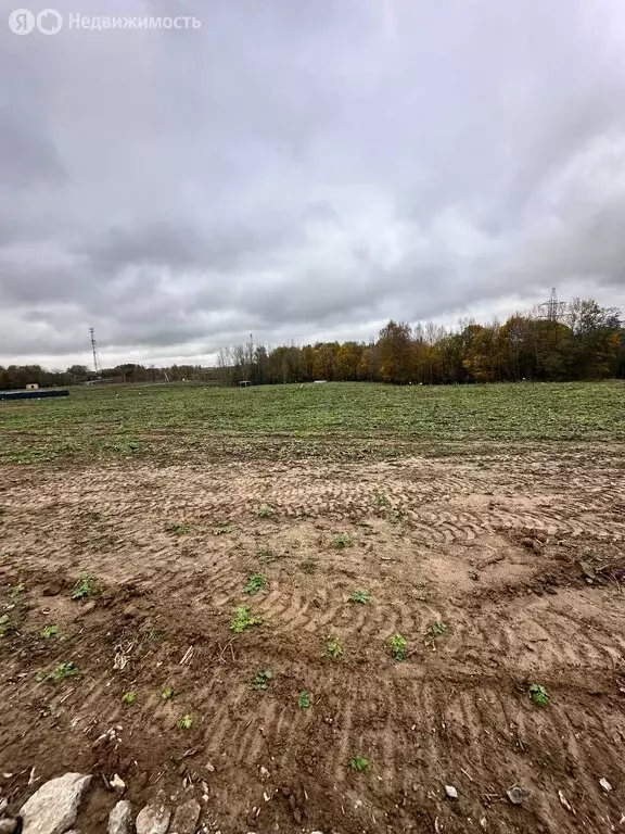 Участок в Московская область, городской округ Клин, деревня Соколово ... - Фото 1