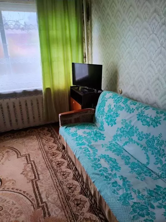 1-к кв. Орловская область, Болховский район, с. Однолуки ул. ... - Фото 1