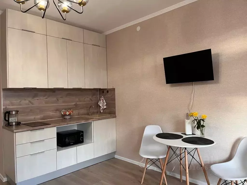 Студия Санкт-Петербург пос. Стрельна, просп. Буденного, 24к2 (27.0 м) - Фото 2