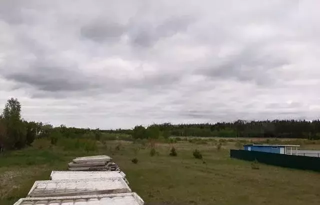 Участок в Московская область, Егорьевск муниципальный округ, д. ... - Фото 1