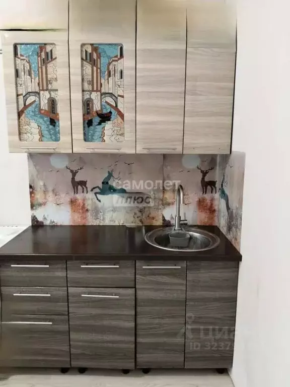 1-к кв. Алтайский край, Бийск ул. Михаила Ломоносова, 39 (34.0 м) - Фото 2