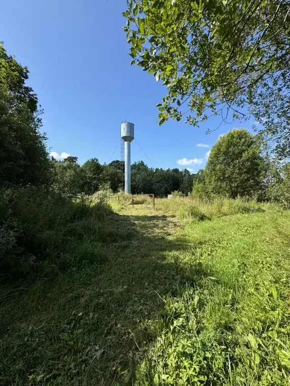 Участок в Новгородская область, Новгородский район, Савинское с/пос, ... - Фото 1