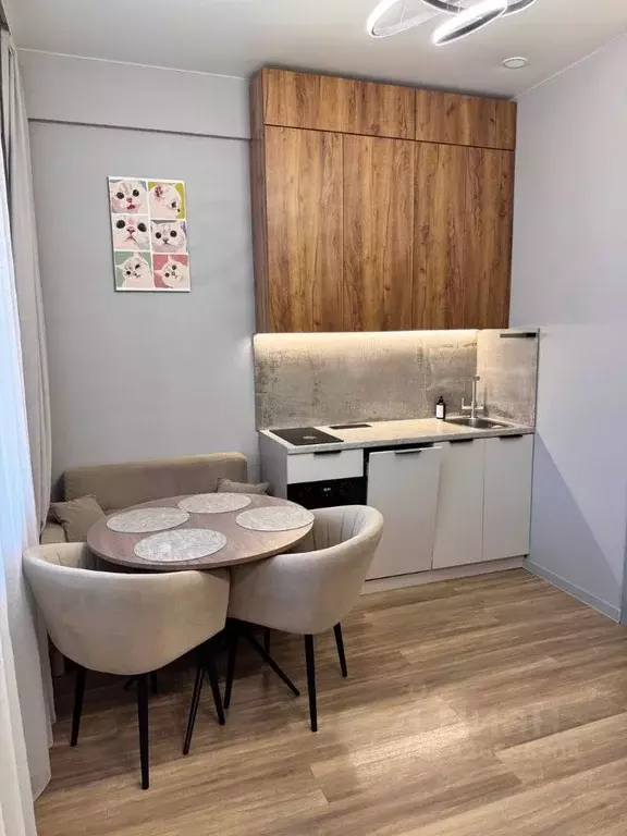 Студия Татарстан, Казань ул. Побежимова, 47 (19.8 м) - Фото 1