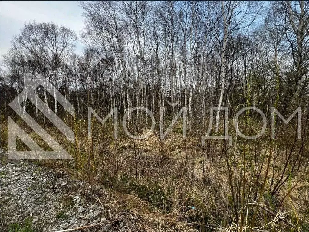Участок в Сахалинская область, Анива  (10.0 сот.) - Фото 1
