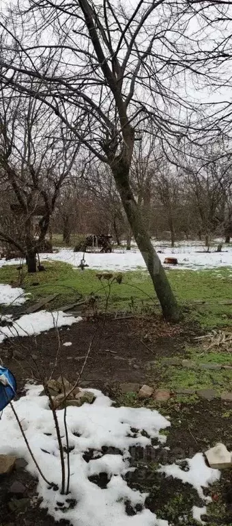 Участок в Ростовская область, Новочеркасск ул. Ларина, 83 (17.0 сот.) - Фото 1