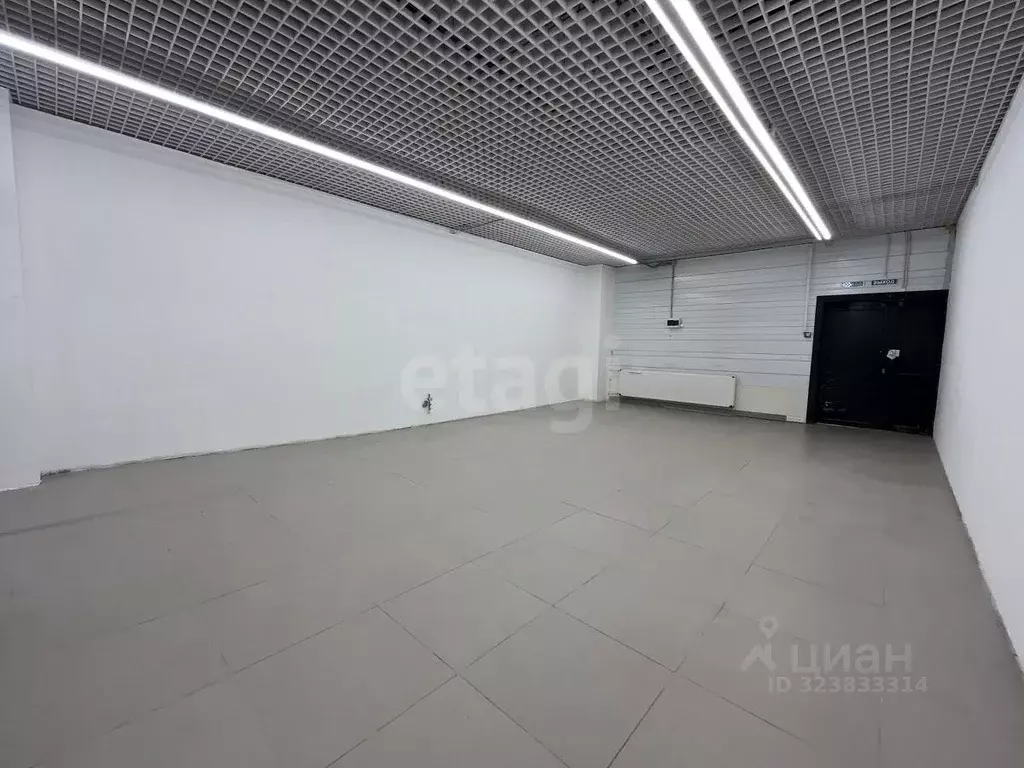 Торговая площадь в Мордовия, Саранск Севастопольская ул., 7/1 (54 м) - Фото 2