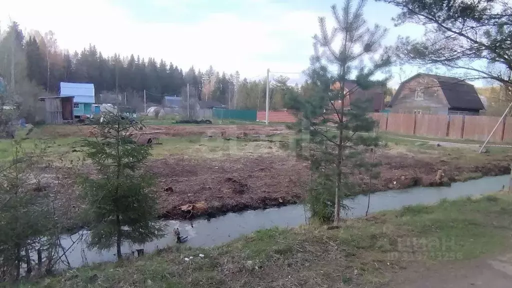 Участок в Ярославская область, Ярославский муниципальный округ, Молния ... - Фото 0