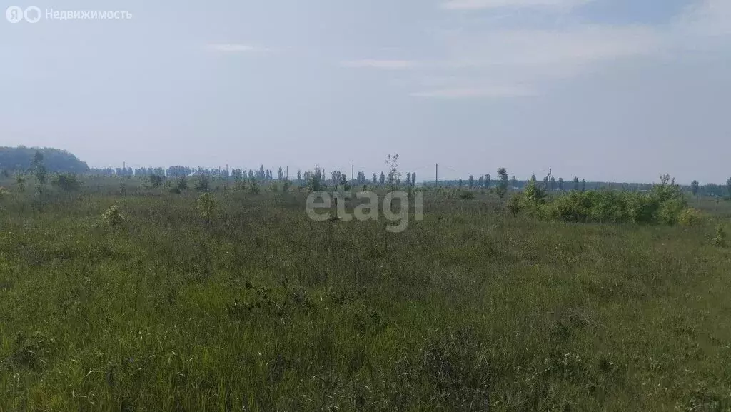 Участок в Белгородская область, Яковлевский муниципальный округ, село ... - Фото 1