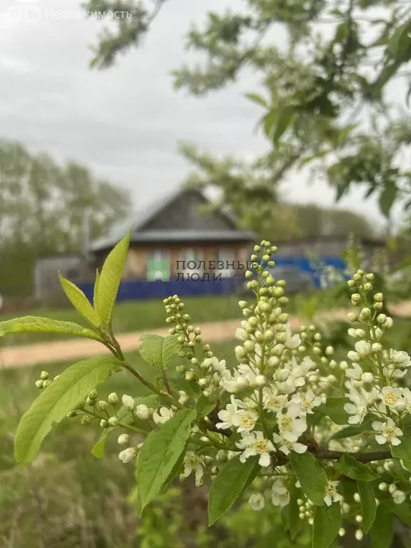 Участок в Завьяловский район, починок Майский (8 м) - Фото 1
