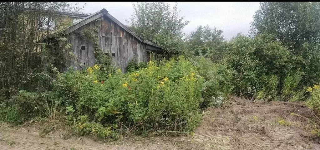 Участок в Владимирская область, Киржачский муниципальный округ, СНТ ... - Фото 2