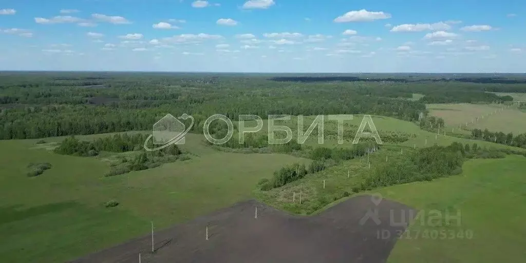 Участок в Тюменская область, Тюменский район, д. Елань, Хвойный кп  ... - Фото 1