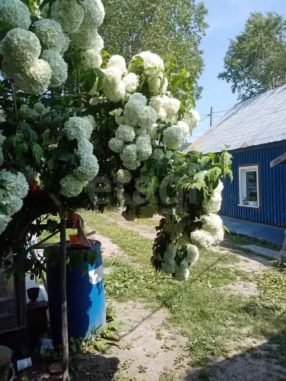 Дом в Сахалинская область, Холмский городской округ, с. Пятиречье ул. ... - Фото 0