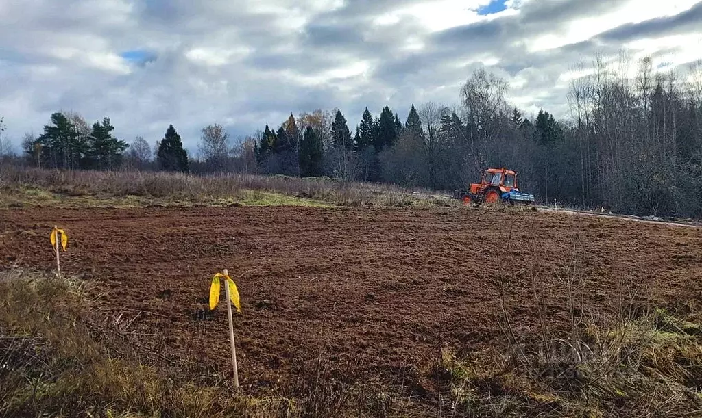 Участок в Московская область, Дмитровский муниципальный округ, пос. ... - Фото 1