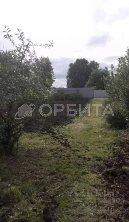 Участок в Тюменская область, Нижнетавдинский муниципальный округ, ... - Фото 2