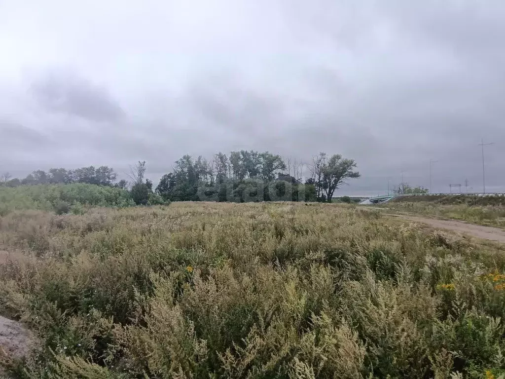 Участок в Тульская область, Воловский округ, д. Сухие Плоты  (100.0 ... - Фото 1