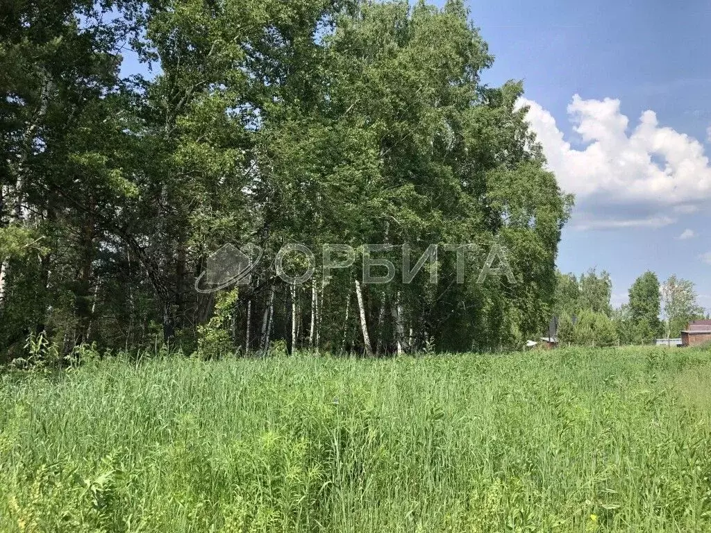 Участок в Тюменская область, Тюменский район, д. Коняшина  (450.0 ... - Фото 1